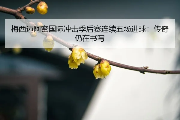 mei-xi-mai-a-mi-guo-ji-chong-ji-ji-hou-sai-lian-xu-wu-chang-jin-qiu-chuan-qi-reng-zai-shu-xie-3-799.jpg